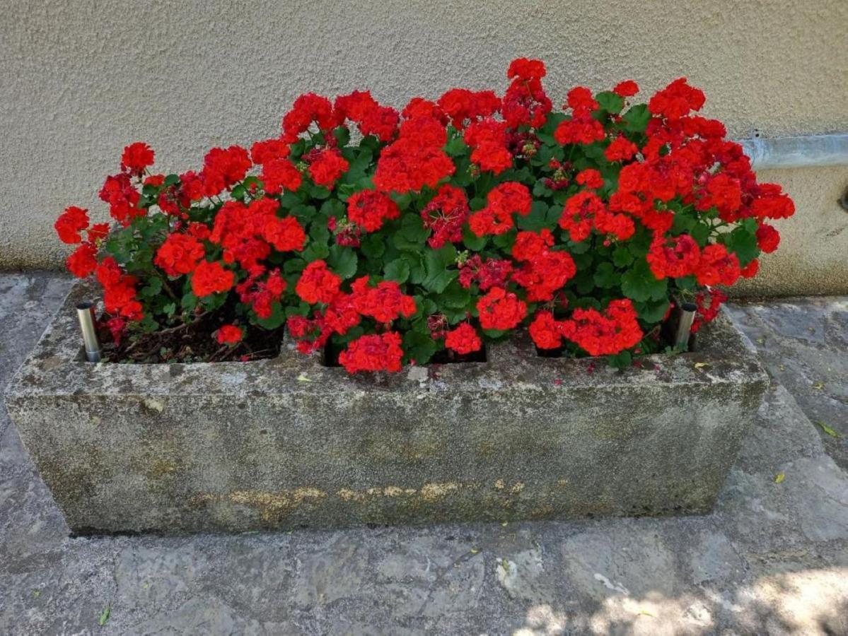 Apartmani Gracijela Karlobag Kültér fotó